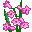 http://www.cosgan.de/images/more/flowers/005.GIF