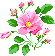 http://www.cosgan.de/images/more/flowers/050.gif