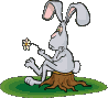 c0322.gif
